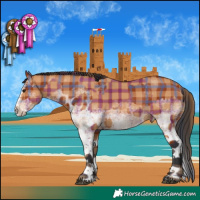 Horse Color:Plaid White Spotted Bay Splash Tobiano and Plaid White Spotted Bay Splash