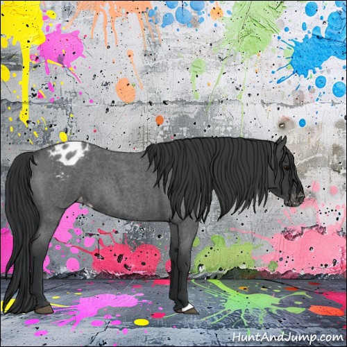 Horse Color:Blue Roan Varnish 