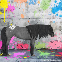 Horse Color:Blue Roan Varnish 