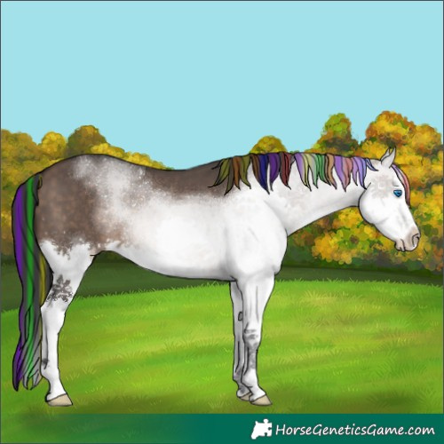 Horse Color:Painted Brown Dun Splash 