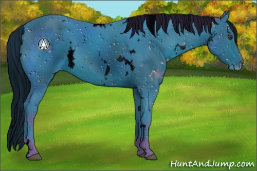 Horse Color:ERROR: UNKNOWN ANOMALY