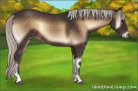 Horse Color:Silver Brown Onyx 