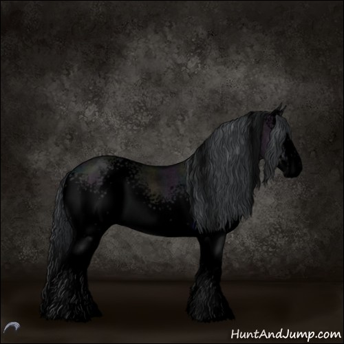 Horse Color:Void White Spotted Midnight Grullo Chinchilla Roan Splash 