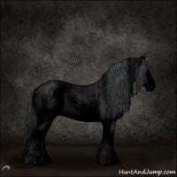 Horse Color:Void White Spotted Midnight Grullo Chinchilla Roan Splash 