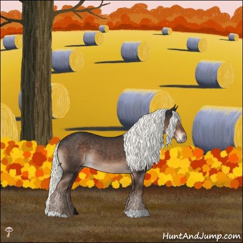 Horse Color:Liver Chestnut Mushroom Rabicano 