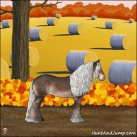 Horse Color:Liver Chestnut Mushroom Rabicano 