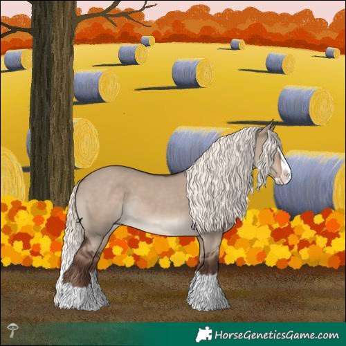 Horse Color:Liver Red Dun Mushroom Splash Rabicano 