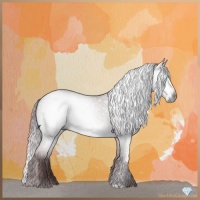 Horse Color:Gray Platinum Chocolate Brown Roan Dun 