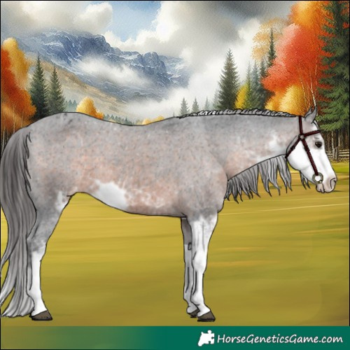 Horse Color:Brown Sabino Varnish