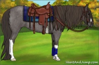 Horse Color:Smoky Blue Roan 