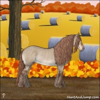 Horse Color:Liver Red Dun Rabicano 