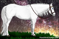 Horse Color:Gray Black Sabino Splash Appaloosa  and Gray Black Sabino Splash Appaloosa 