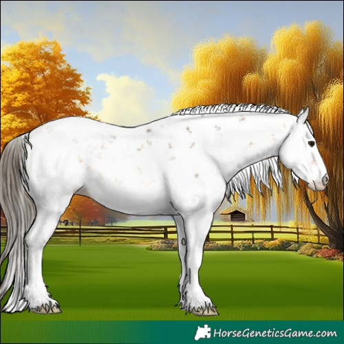 Horse Color:Buckskin Sabino 