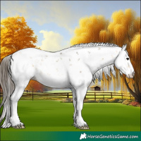 Horse Color:Buckskin Sabino 