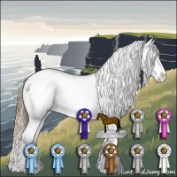 Horse Color:Gold Champagne Pearl Sabino Appaloosa  and Liver Chestnut Pearl Sabino Appaloosa 