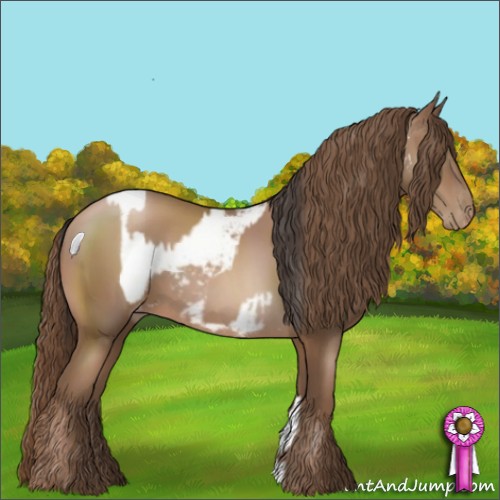 Horse Color:Sable Champagne Appaloosa  and Brown Pearl 