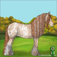Horse Color:Buckskin Pearl Rabicano  and Sable Champagne Pearl Blanket 
