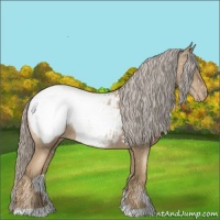 Horse Color:Chocolate Palomino Pearl Appaloosa 