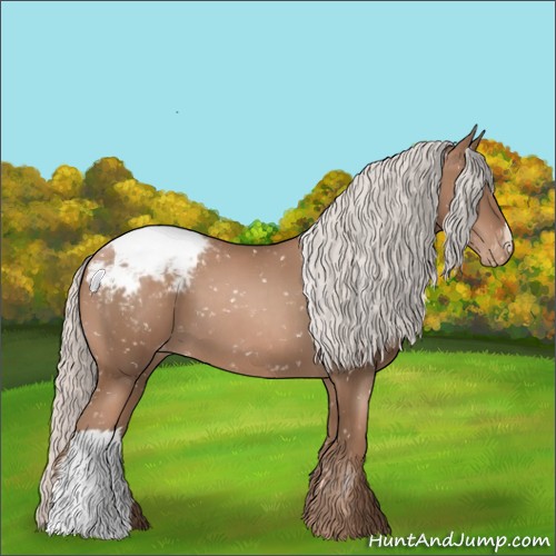 Horse Color:Silver Black Pearl Appaloosa 