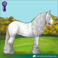 Horse Color:Liver Chestnut Snowcap  and Buckskin Roan Pearl Blanket 