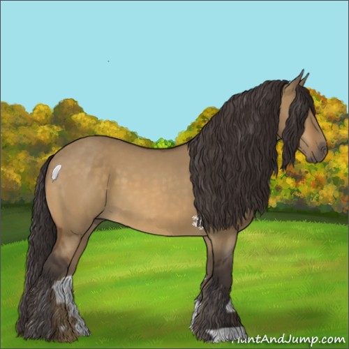 Horse Color:Buckskin Dun 