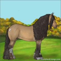 Horse Color:Buckskin Dun 
