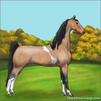 Horse Color:Bay Roan Tobiano 