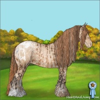 Horse Color:Buckskin Snowcap and Buckskin Pearl Snowflake Varnish