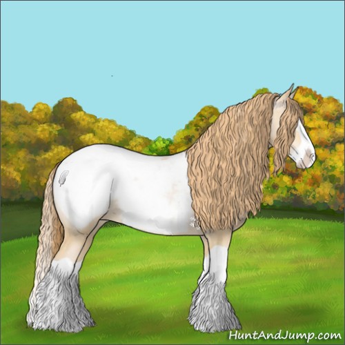 Horse Color:Buckskin Pearl Splash Appaloosa 