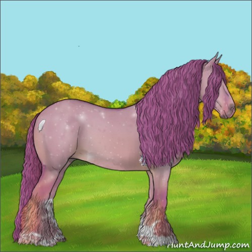 Horse Color:Watercolor Red Dun 