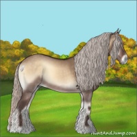Horse Color:Silver Bay Onyx 