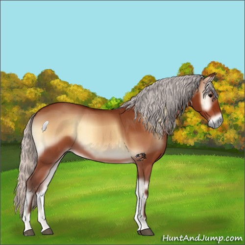 Horse Color:Silver Bay Onyx