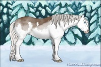 Horse Color:Silver Brown Splash