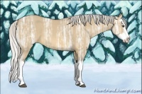 Horse Color:Silver Buckskin Ice Dun Splash 