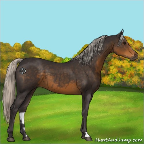 Horse Color:Silver Smoky Black 