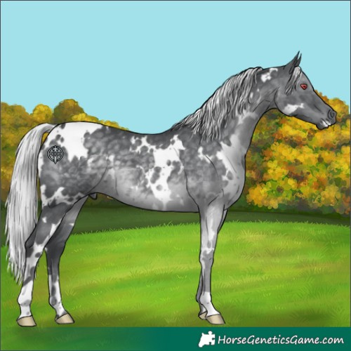 Horse Color:White Spotted Silver Black Chinchilla 
