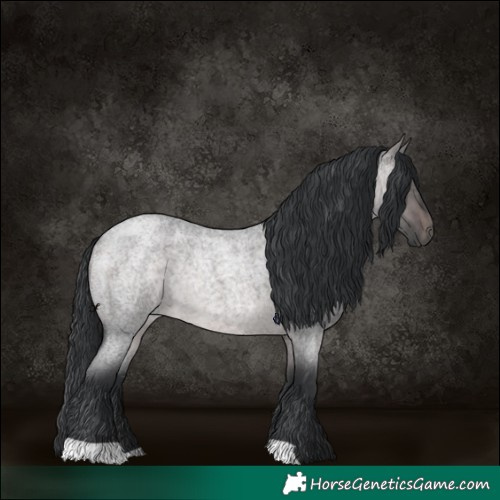 Horse Color:Platinum Brown Roan Dun 