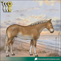 Horse Color:Chocolate Palomino Dun Tobiano 