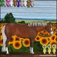 Horse Color:Silver Bay Sabino Splash 