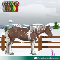 Horse Color:White Spotted Silver Black Tobiano 