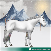 Horse Color:Gray Nacre Brown Roan Dun Splash Tobiano