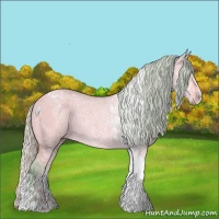 Horse Color:Watercolor Silver Bay Ice Roan Dun Tobiano Rabicano 