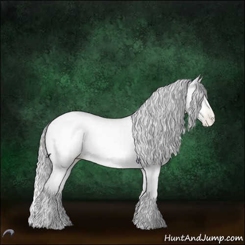 Horse Color:Buckskin Chinchilla Roan Pearl