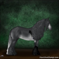 Horse Color:Void Brown Chinchilla Roan Tobiano 