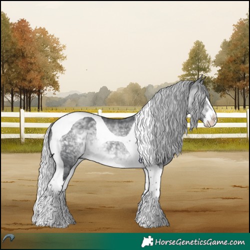 Horse Color:Silver Brown Chinchilla Splash Tobiano 