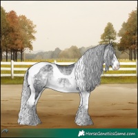 Horse Color:Silver Brown Chinchilla Splash Tobiano 