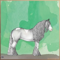 Horse Color:Silver Brown Chinchilla Splash Tobiano 