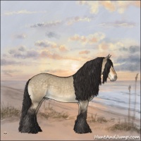 Horse Color:Buckskin Roan Dun Mushroom Rabicano