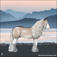 Horse Color:Liver Red Dun Mushroom Splash 