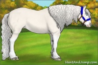 Horse Color:Cremello Dun Splash 